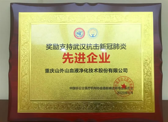 大奖国际·(中国游)官方网站公司荣获“支持武汉抗击新冠肺炎先进企业”称号